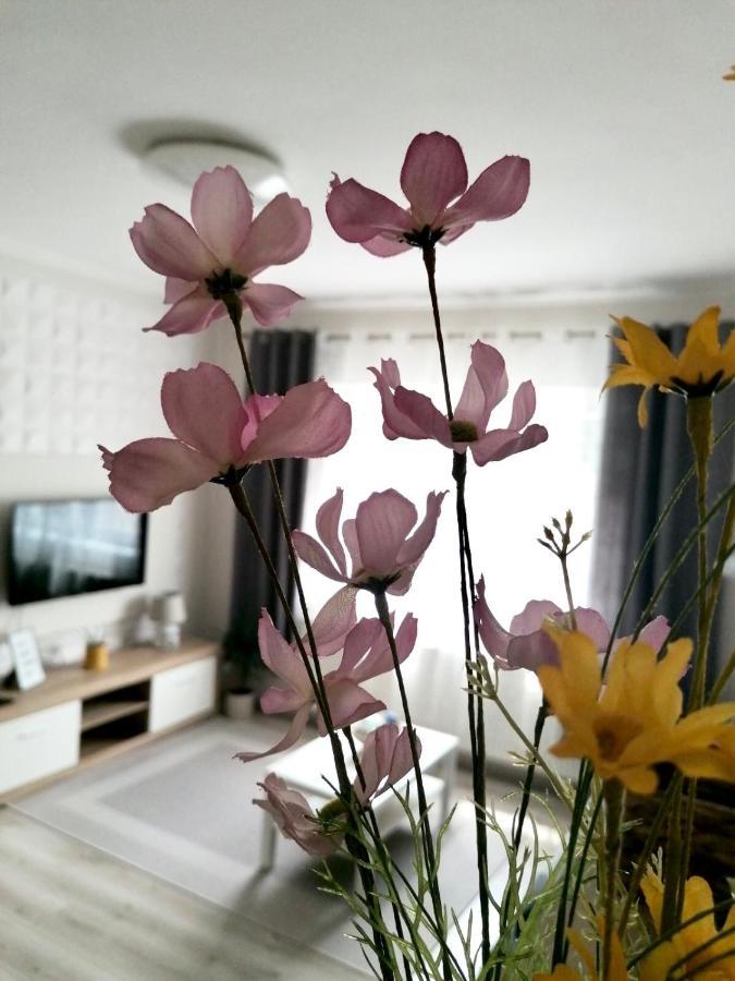 Sweet Central Apartment ,In The City Center Eger Extérieur photo